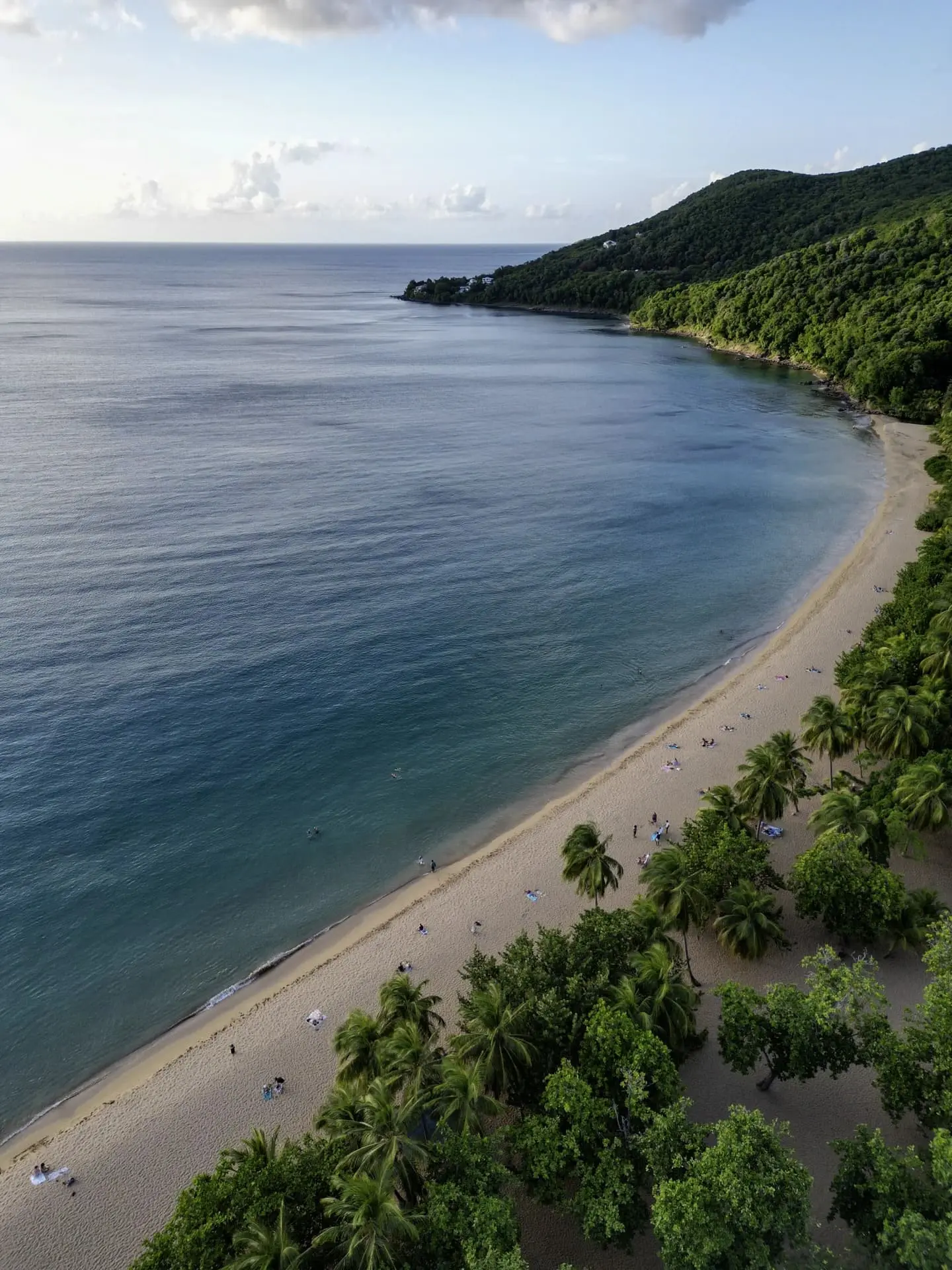 Plage_Grande_Anse_Deshaies
